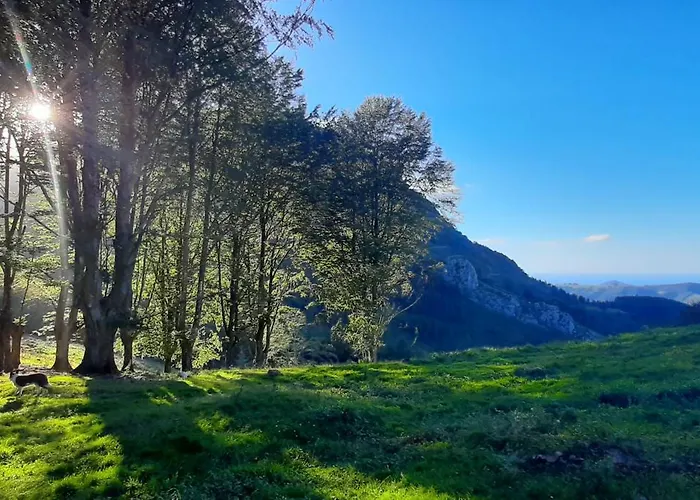 Ondarbaso Rurales Ii *