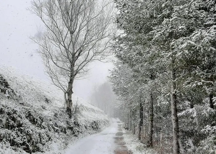 Apartment Ondarbaso Rurales Ii Zestoa