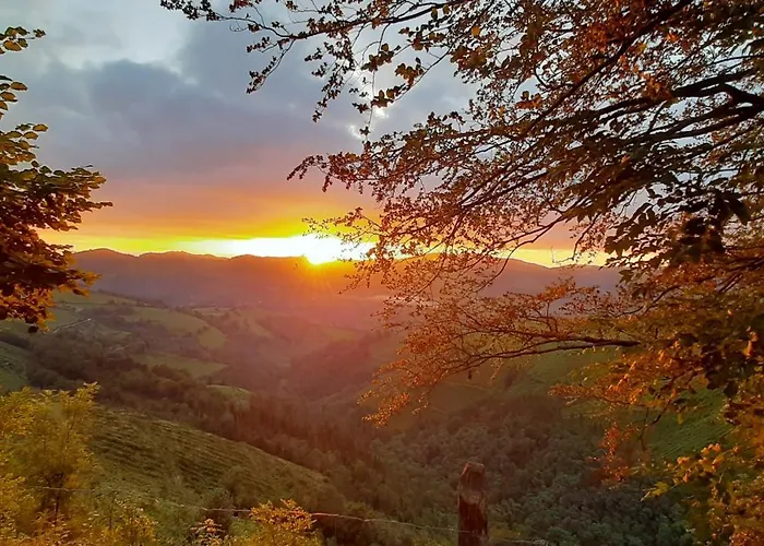 Ondarbaso Rurales Ii * Zestoa