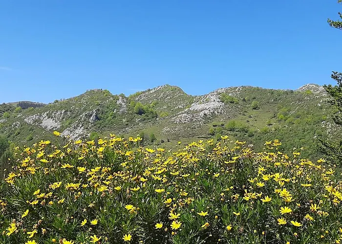 Ondarbaso Rurales Ii *