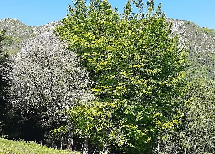 Ondarbaso Rurales Ii