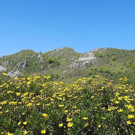 Ondarbaso Rurales Ii *